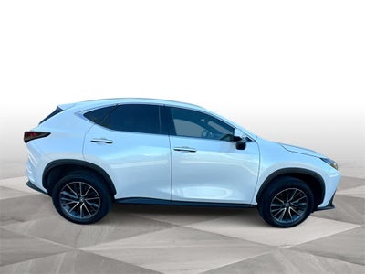 2022 Lexus NX 250 