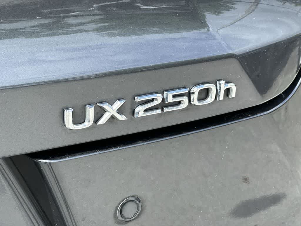 2023 Lexus UX 250h F SPORT Design