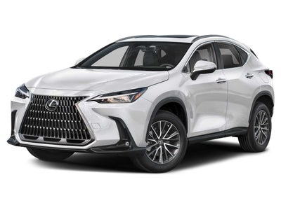 2024 Lexus NX 250 