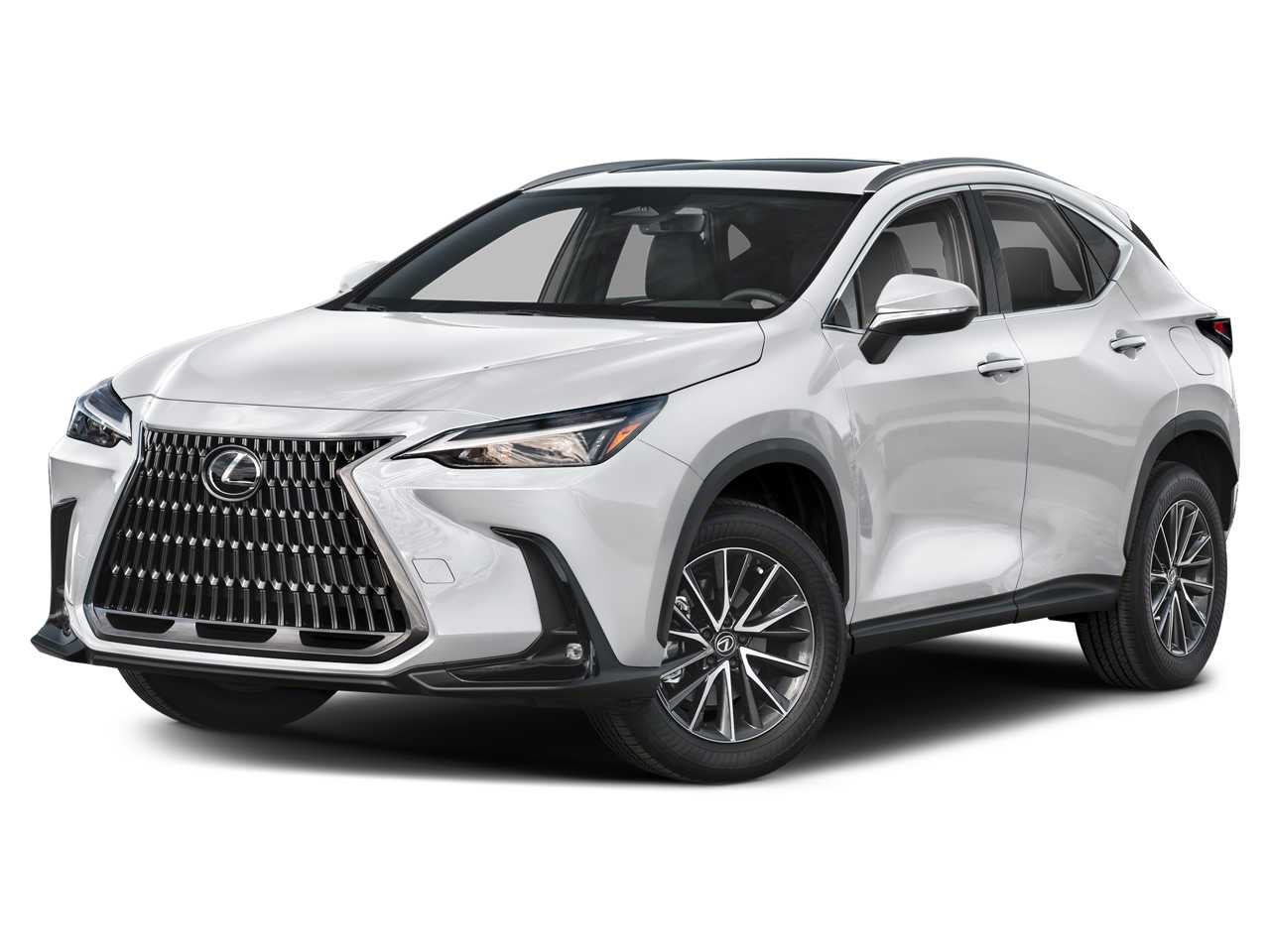 2024 Lexus NX 250 