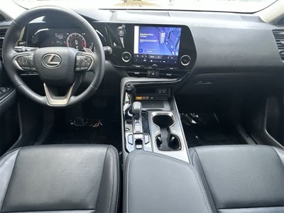 2024 Lexus NX Premium