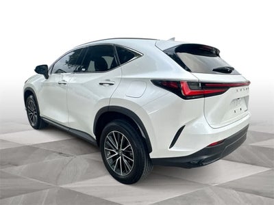 2024 Lexus NX Premium