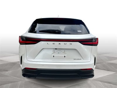 2024 Lexus NX Premium