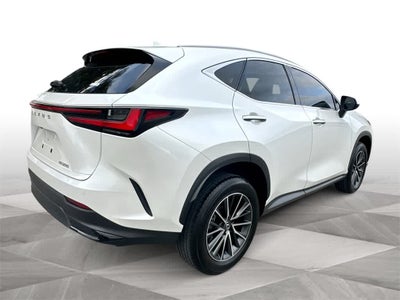 2024 Lexus NX Premium